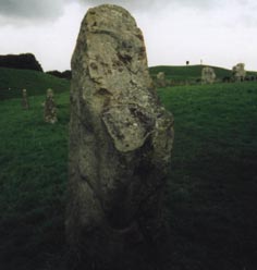 Standing stones at Avebury.